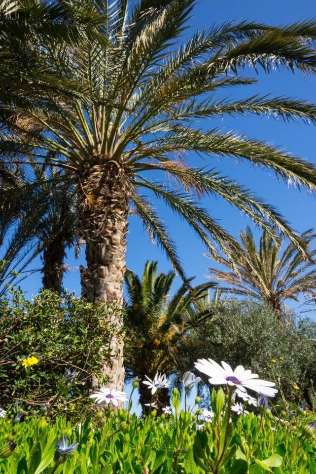 Authentic Cretan Stone Windmill Villa Sitía Exterior foto